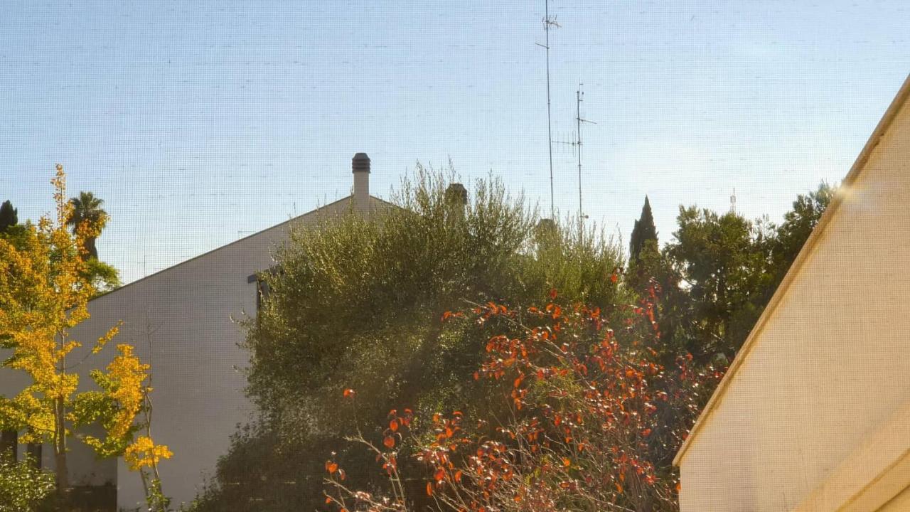 Standard Einzelzimmer mit Gemeinschaftsbad