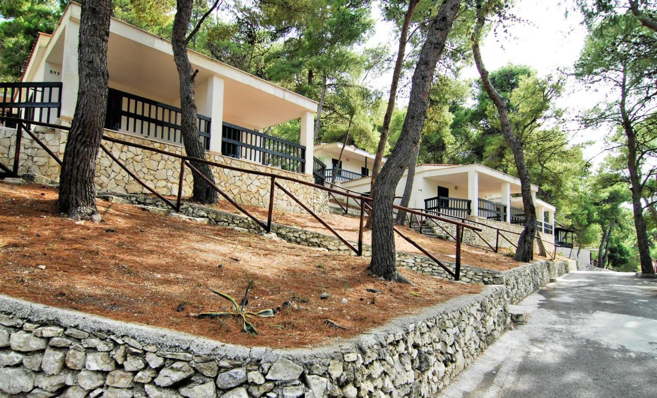 Studio Terrace