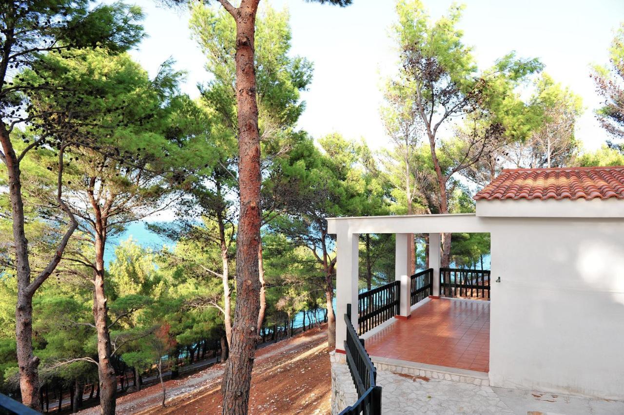 Studio Terrace