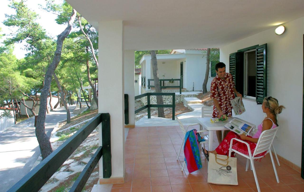 Studio Terrace
