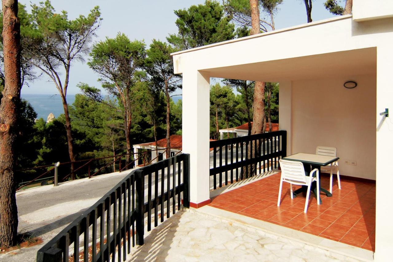 Studio Terrace