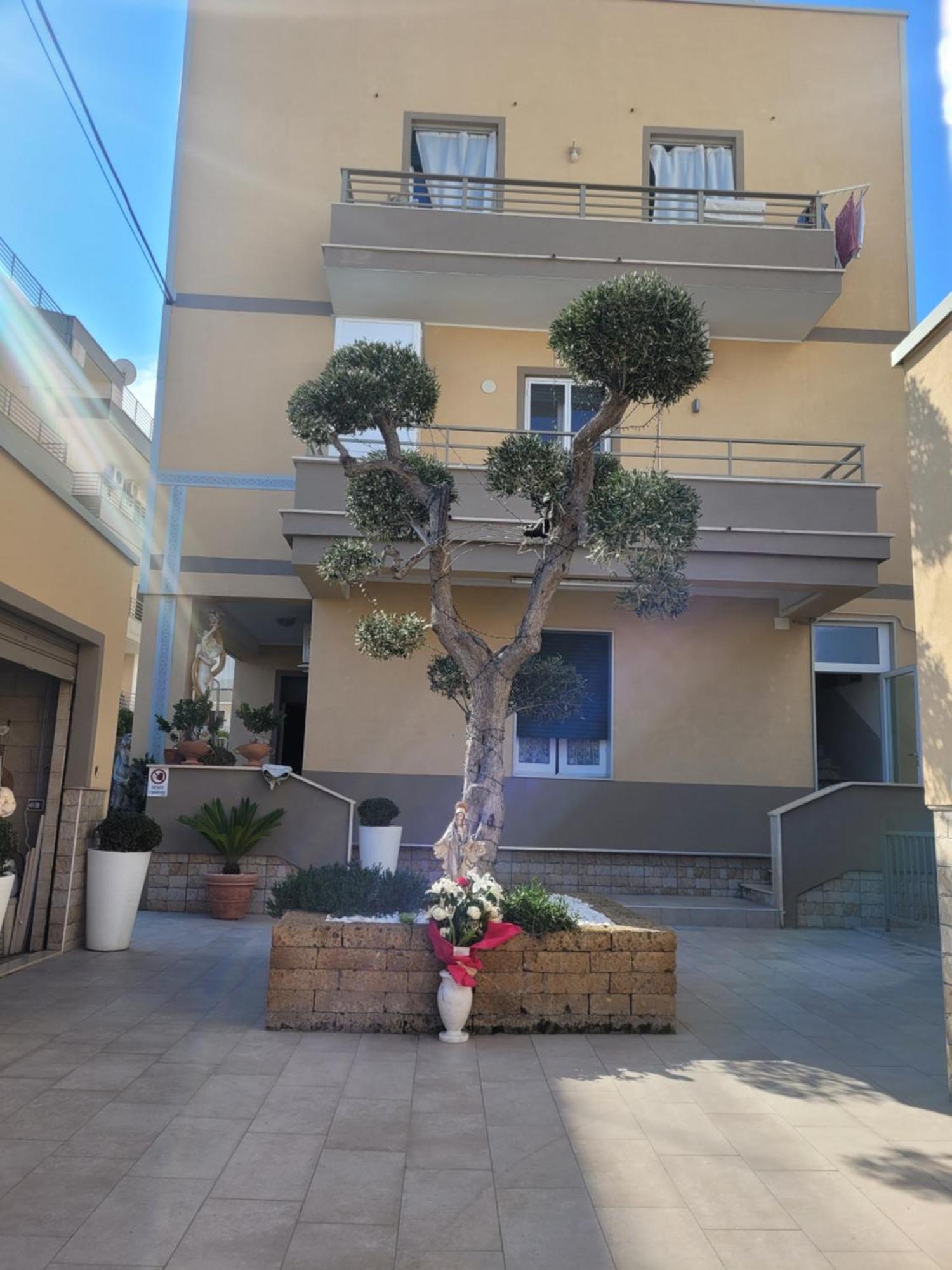 One-Bedroom Apartment Ground Floor