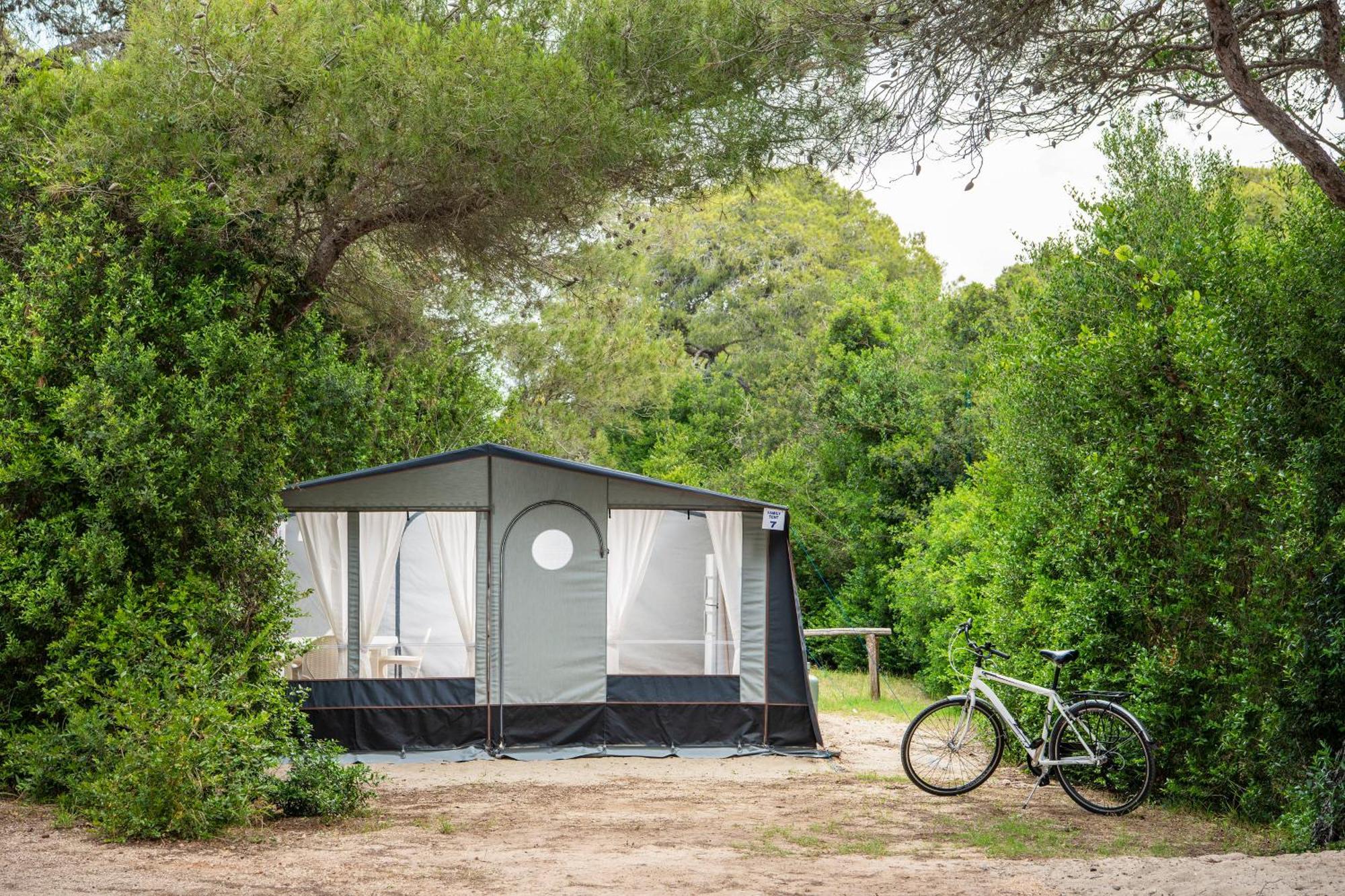 Tent,1585500873:JPEG