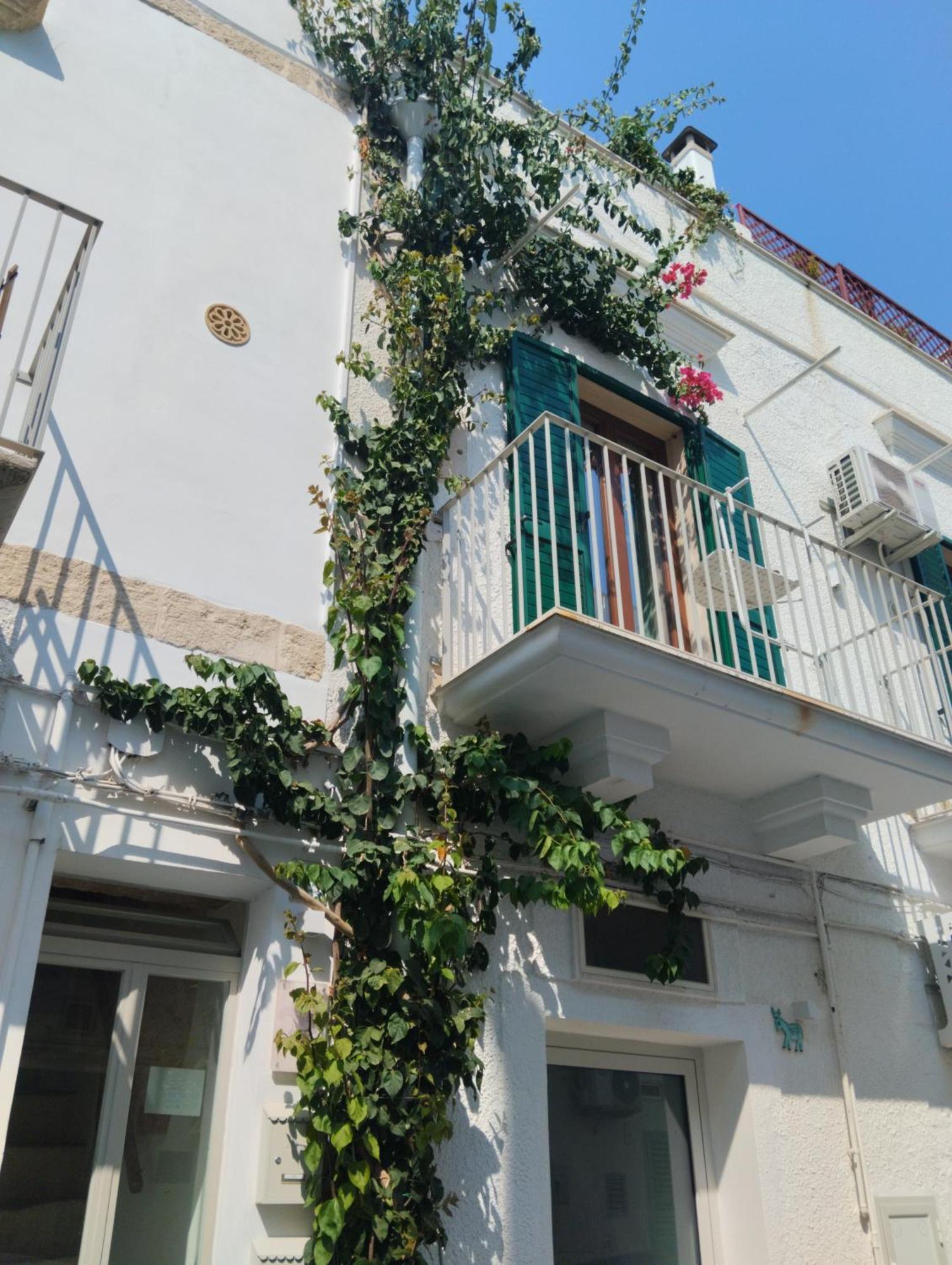 Apartment Terrace