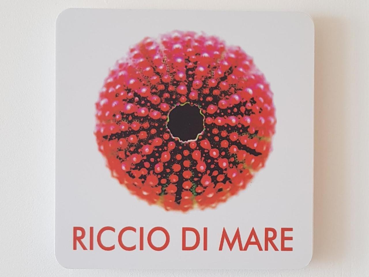 Camera Matrimoniale