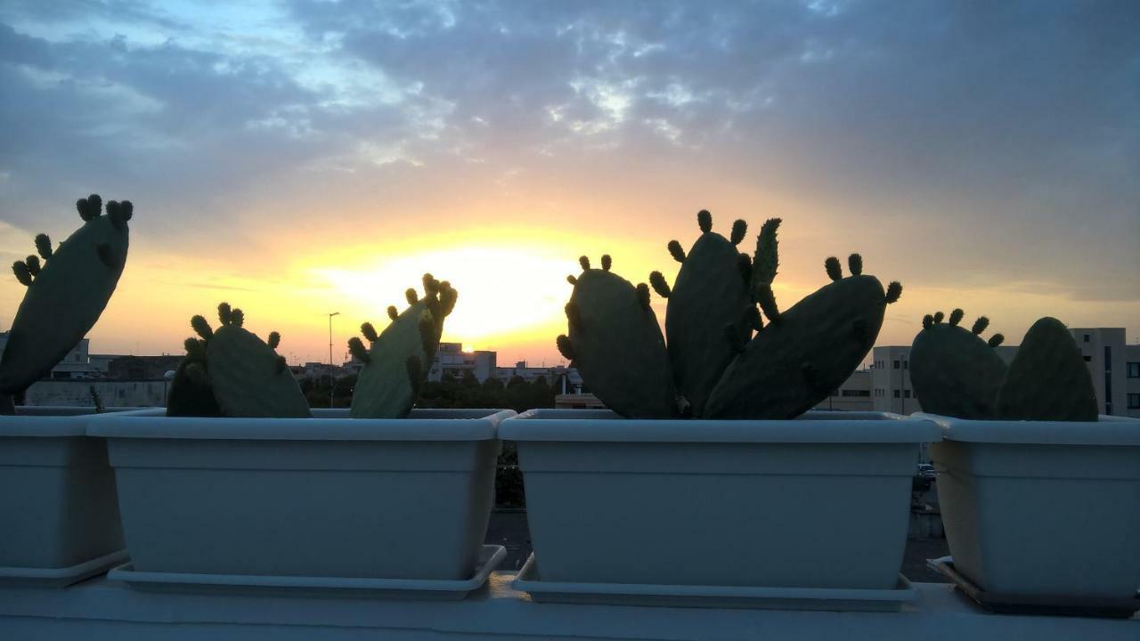 Suite con Terrazza