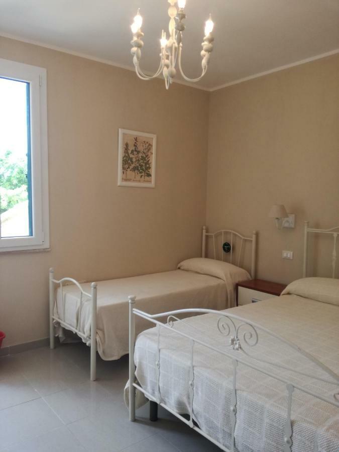Triple Room Garden View,894657925:JPEG