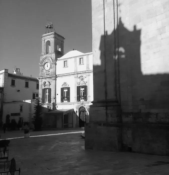 B&B Michelina-1