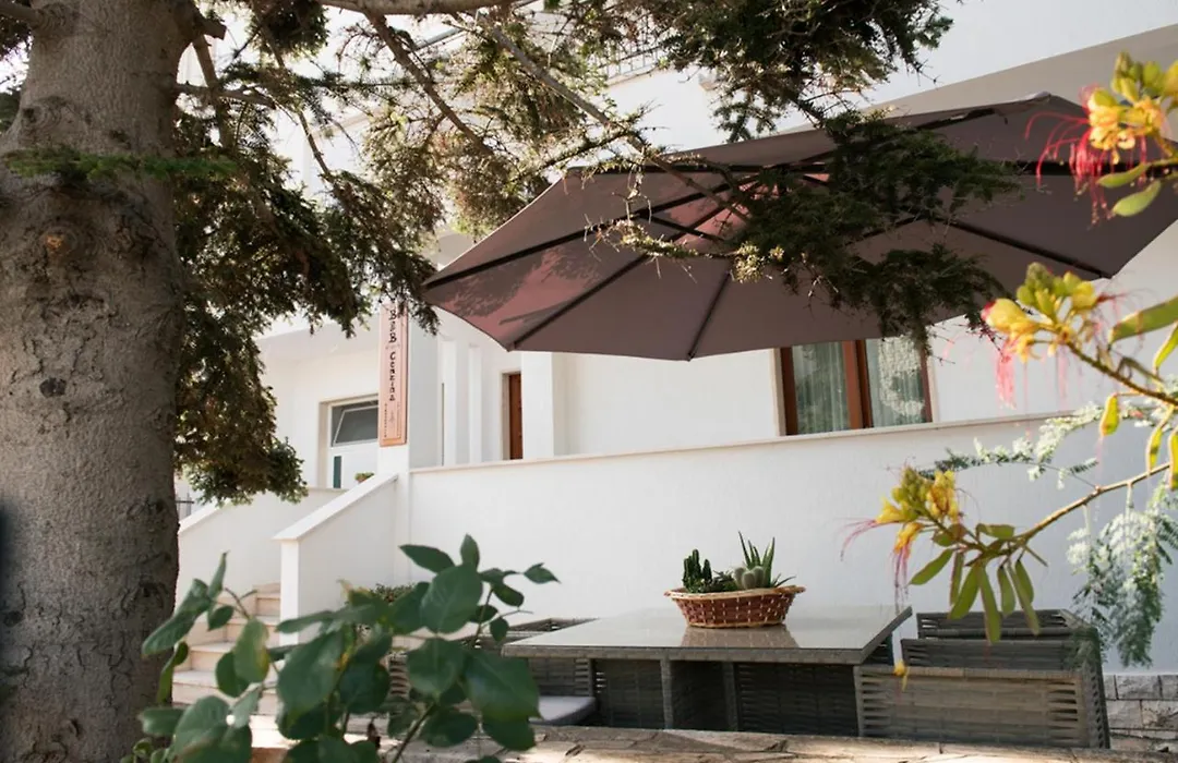 B&B Cenzina-1