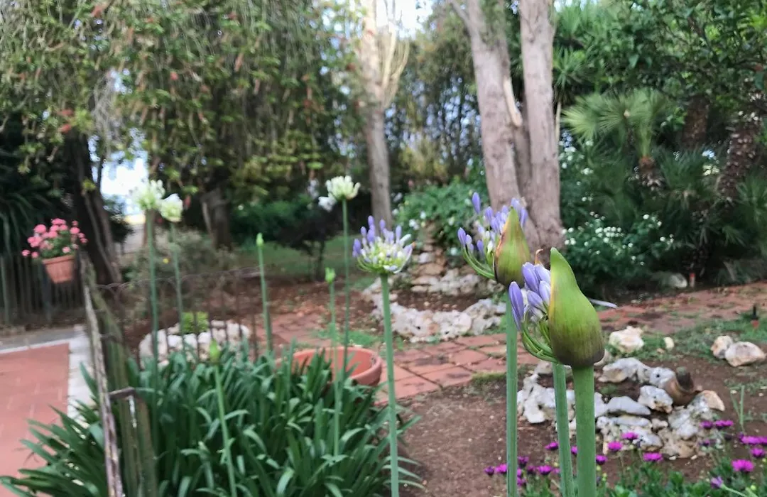 La Casa Di Sergio-1