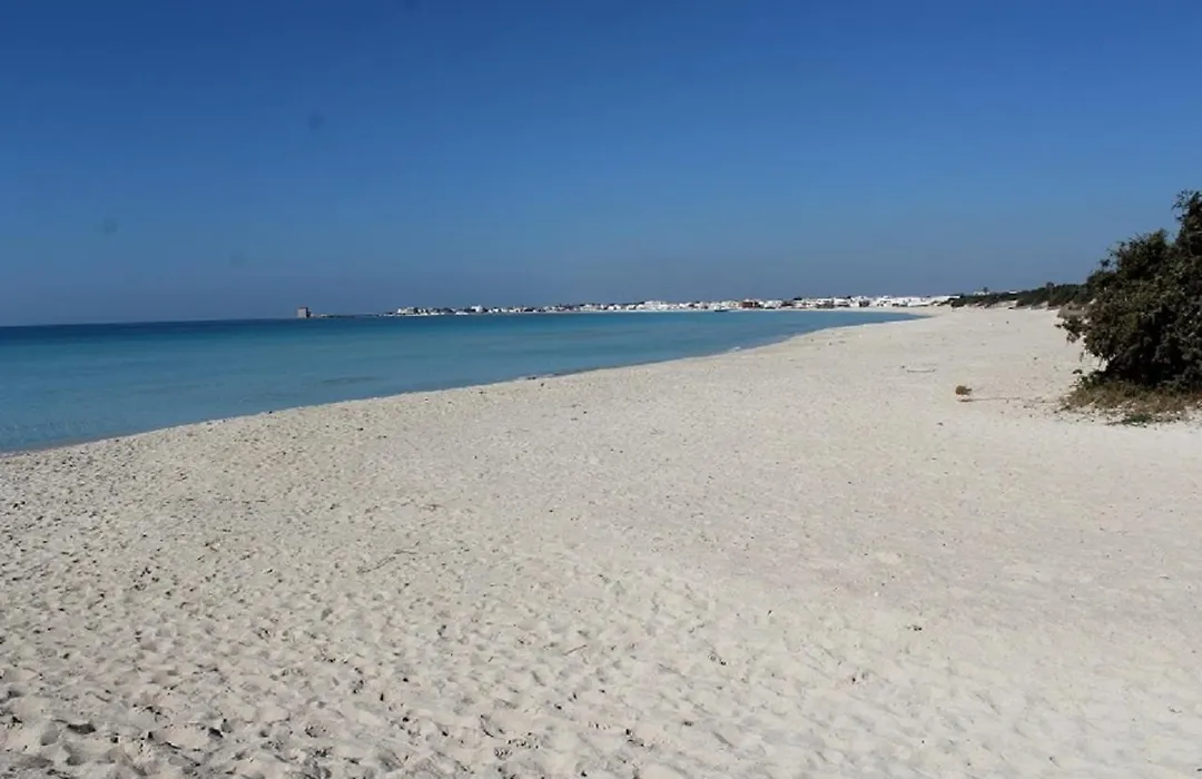 Estasi Sul Mare-1