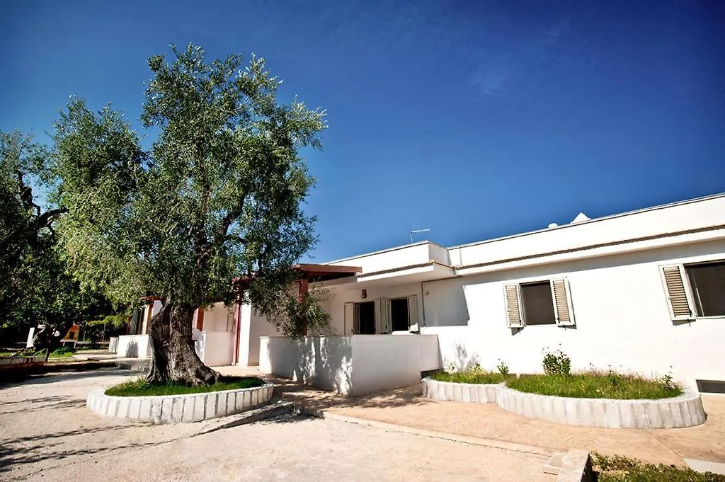 Felicity Vieste-1
