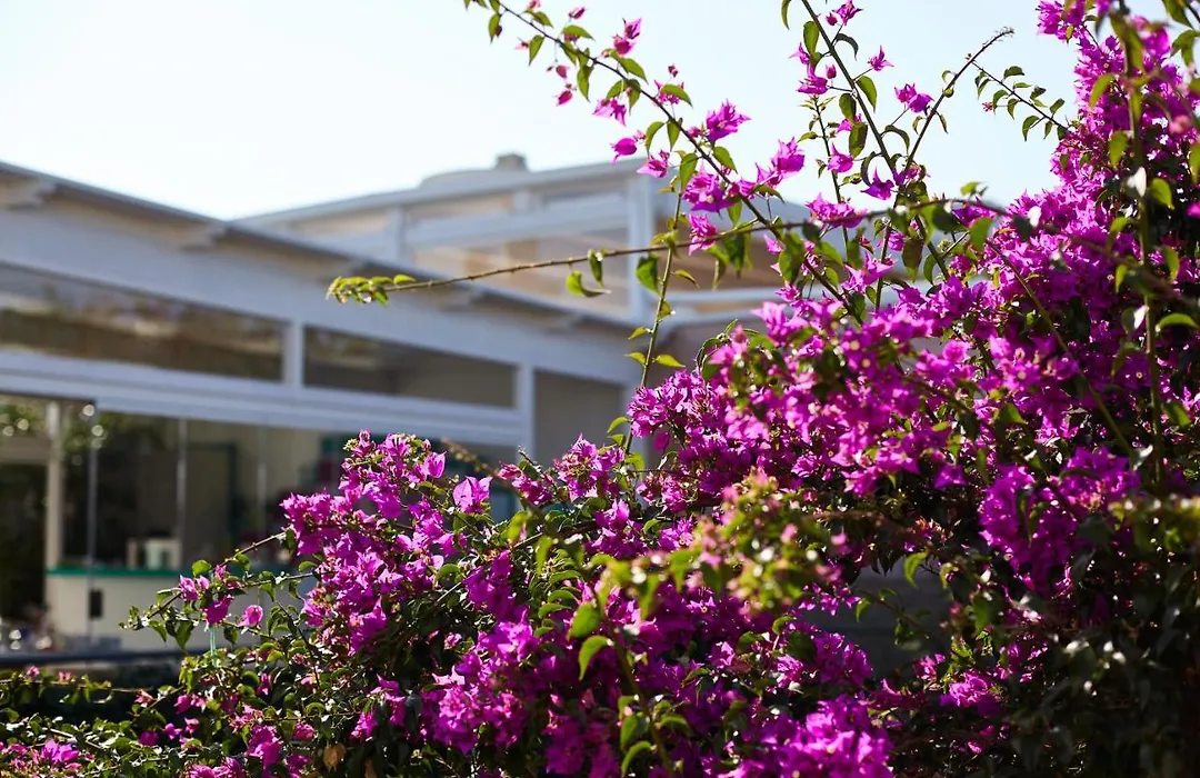 Villa Dapper-1