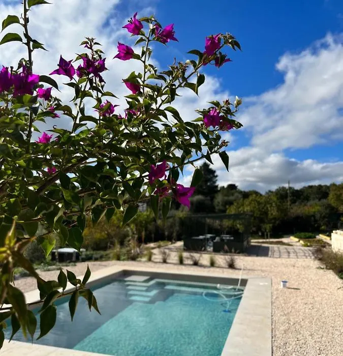Villa Ada-Trulli&Luxury Accomodation-1