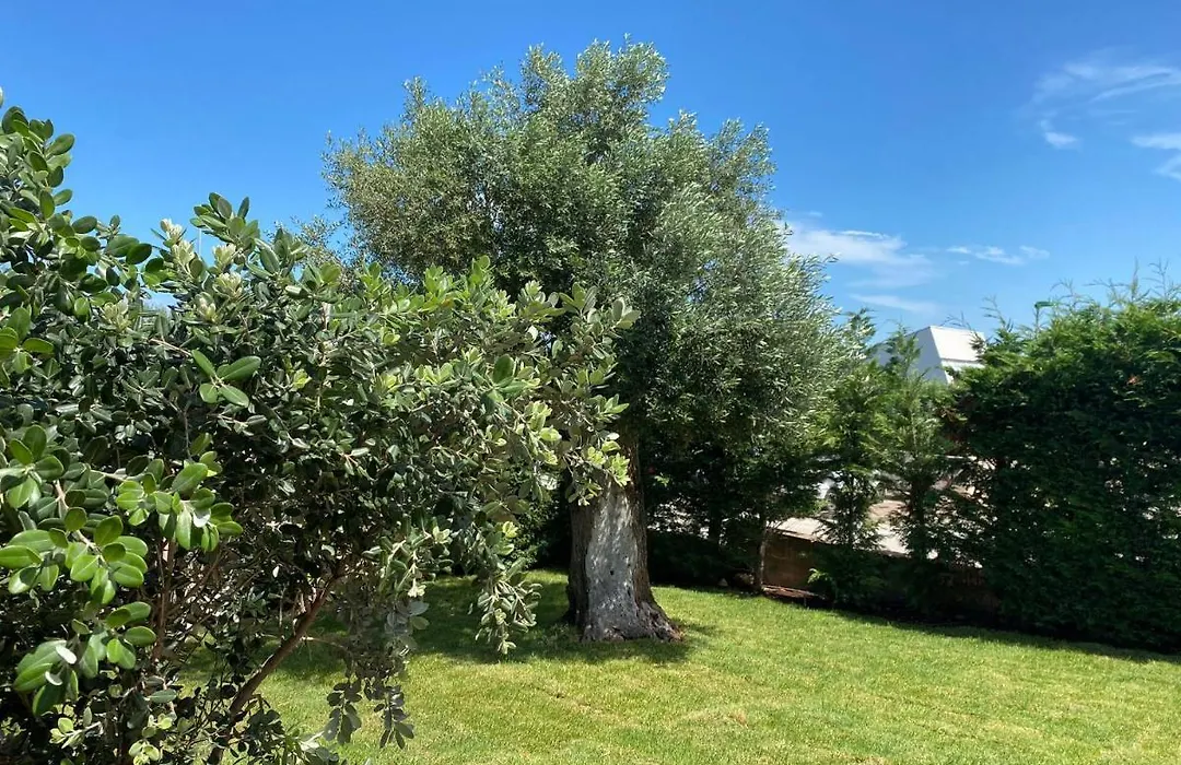 Villa Giulio Polignano-1