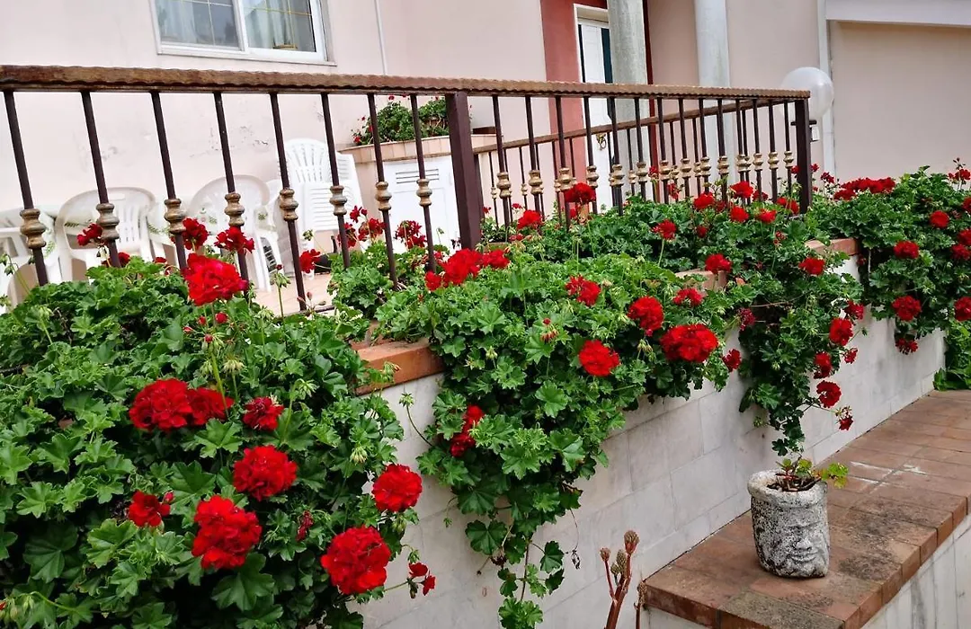 B&B Villa Lena-1