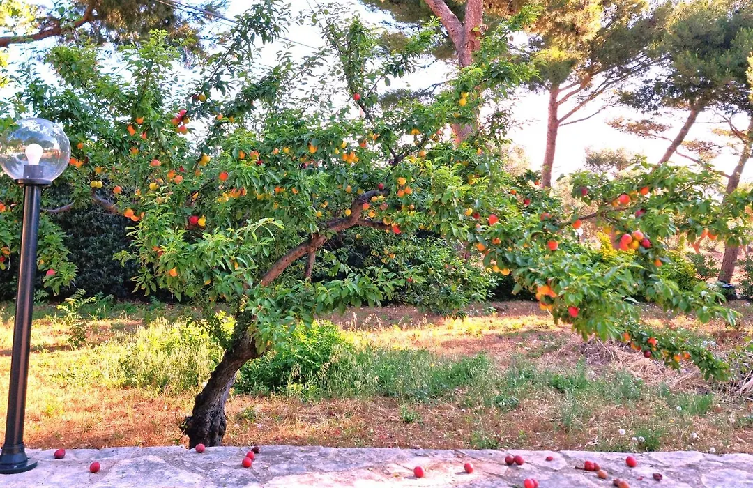 Villa Costanza-1