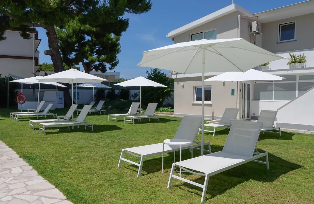 Artemisia B&B-1
