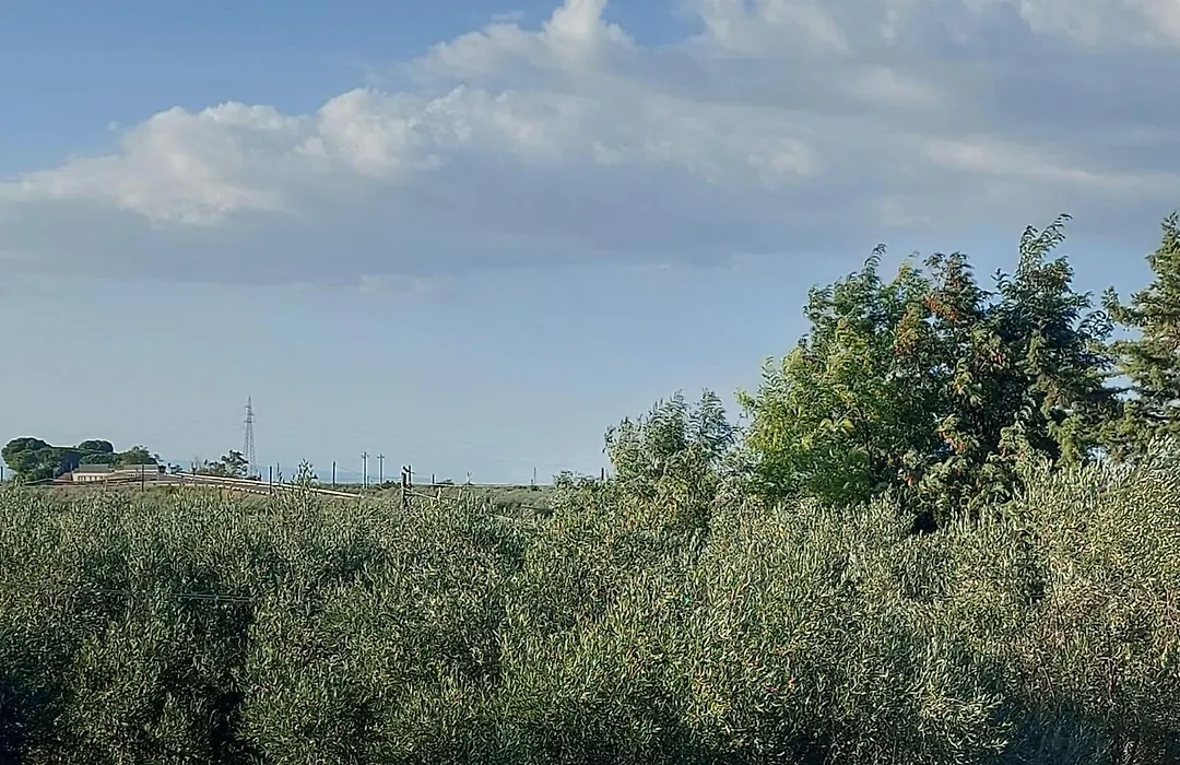 La Villa Del Conte-1