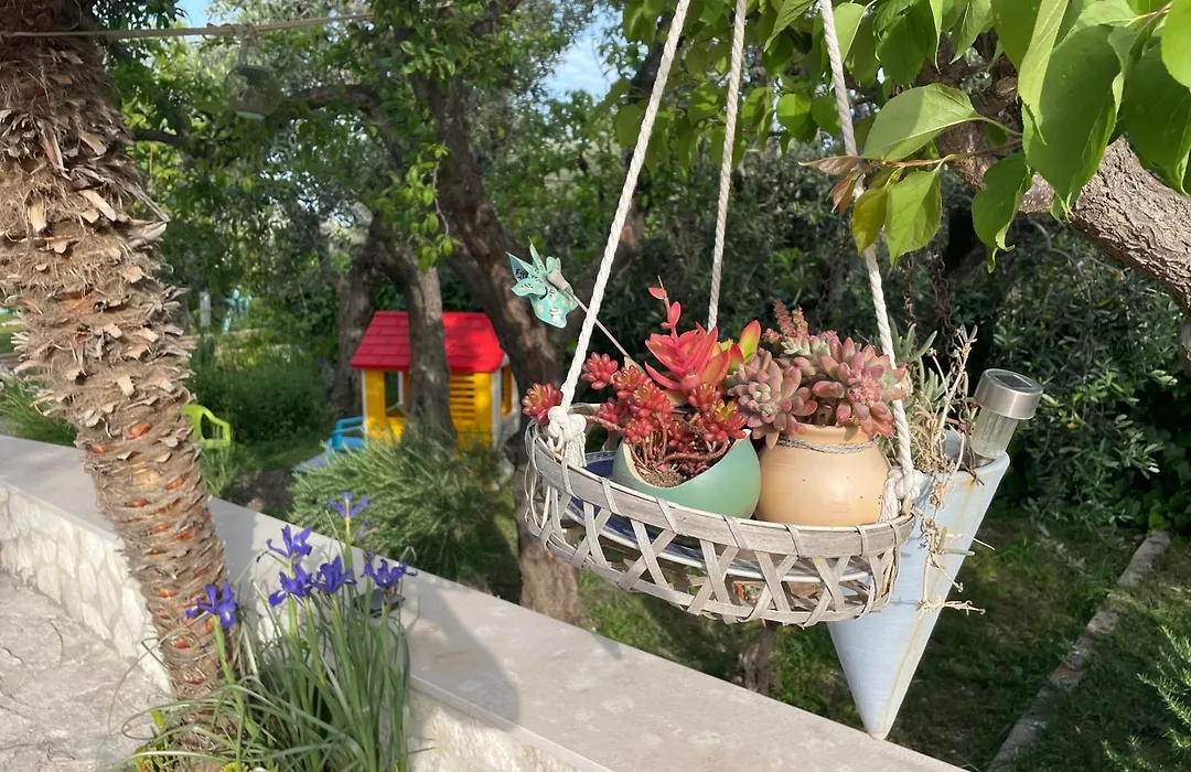 Casa Vacanza Orchidea vicino a Mattinata Gargano-1