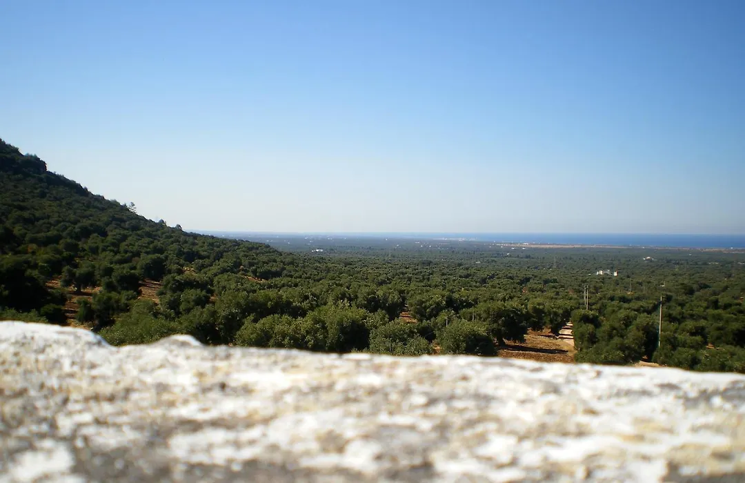 Masseria Morrone-1