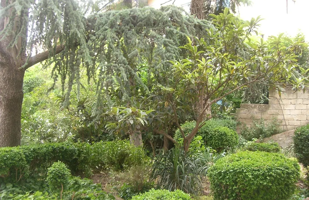 Villa Genny-1