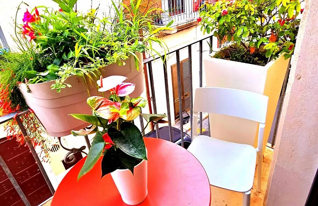 Bed&Breakfast Al Borgo-1