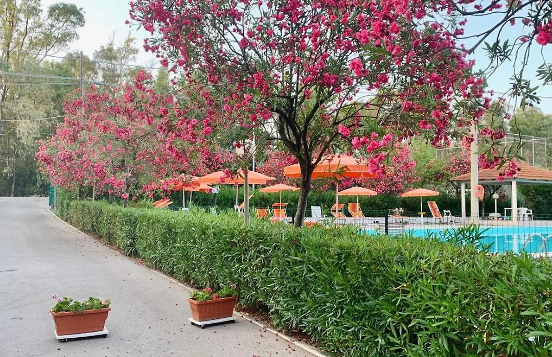 Viola Club Village & Camping-1