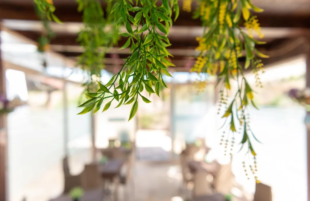 B&B Tenuta Barone-1