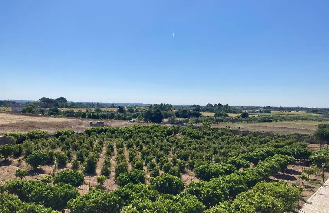 Tenuta degli Agrumi-1