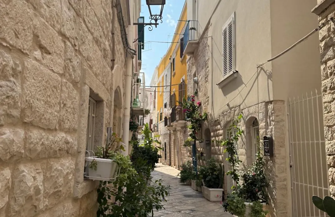 Solevita B&B-1