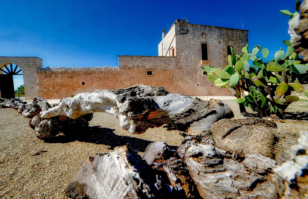 Hotel Masseria Tutosa-1