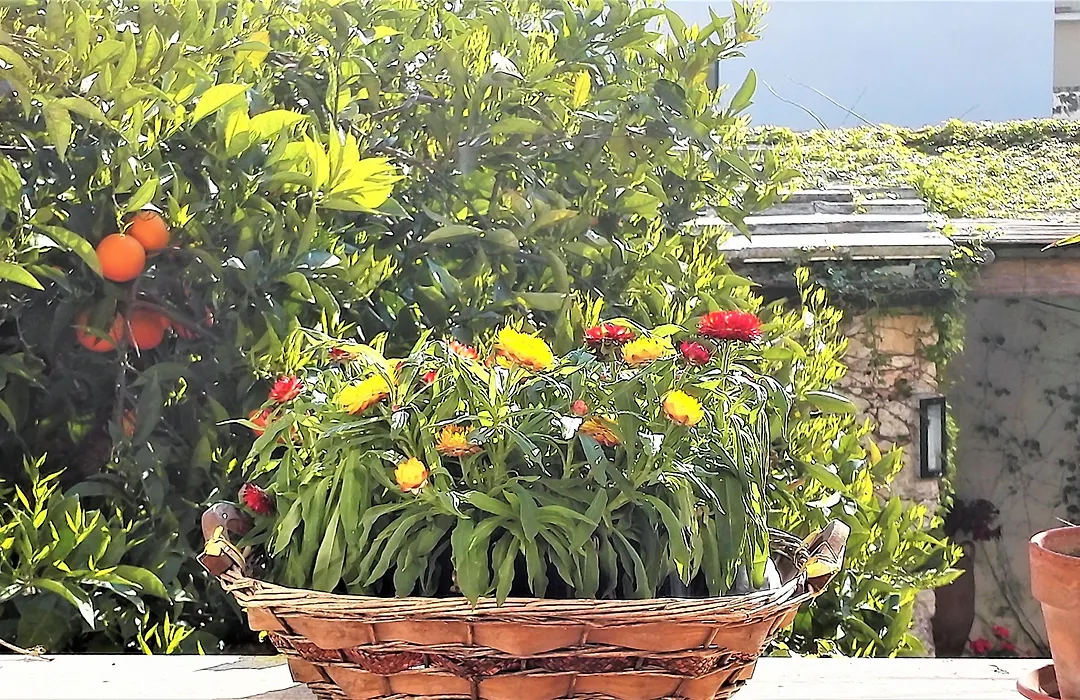Antico Camino B&B-1