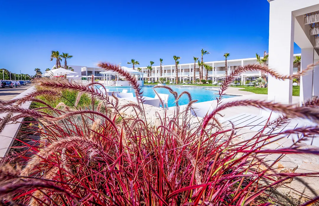 Marelive - Cdshotels-1