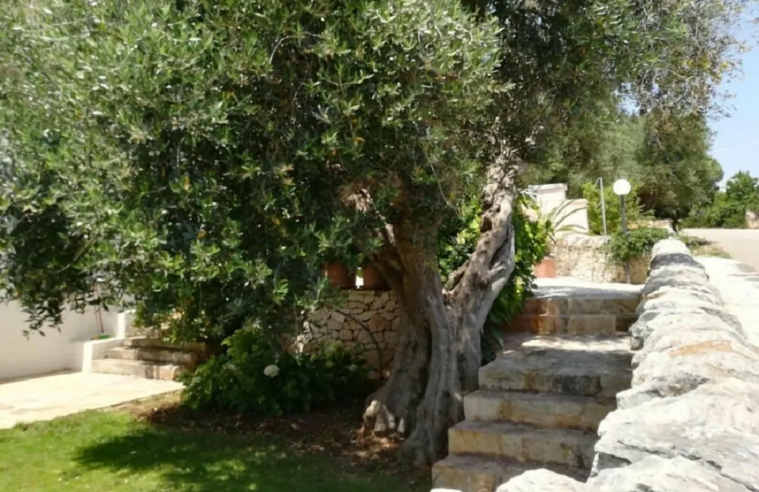 Residenza Aurora-1