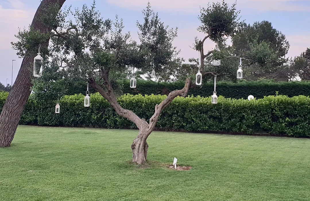 Villa Natia-1