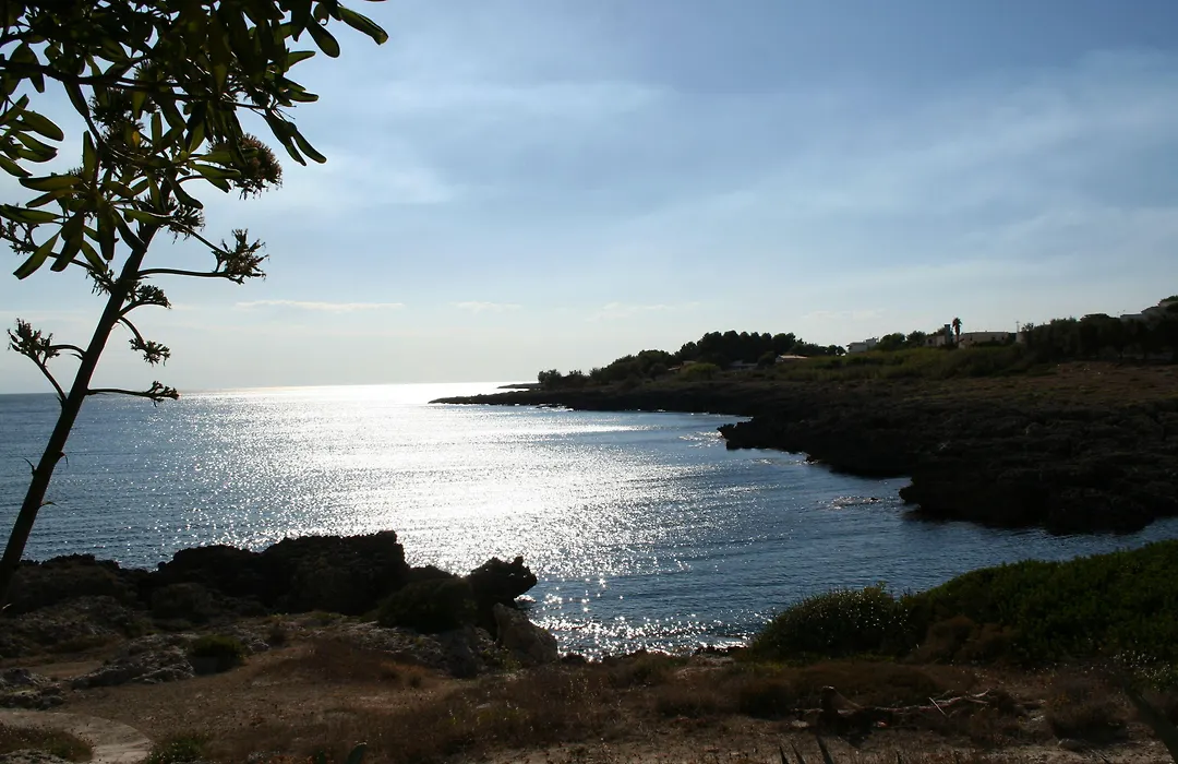 Villa Elisa B&B-1