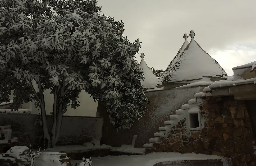 B&B Trulli E Mare-1
