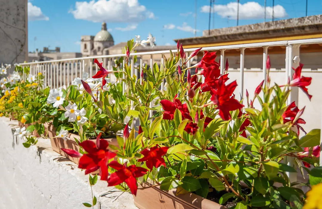 Il Garbino Suite And Apartment-1