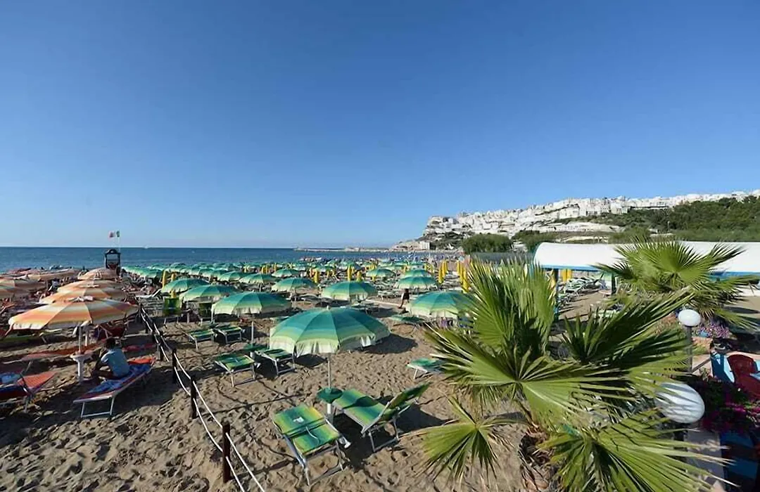 Villaggio Camping Parco Degli Ulivi-1
