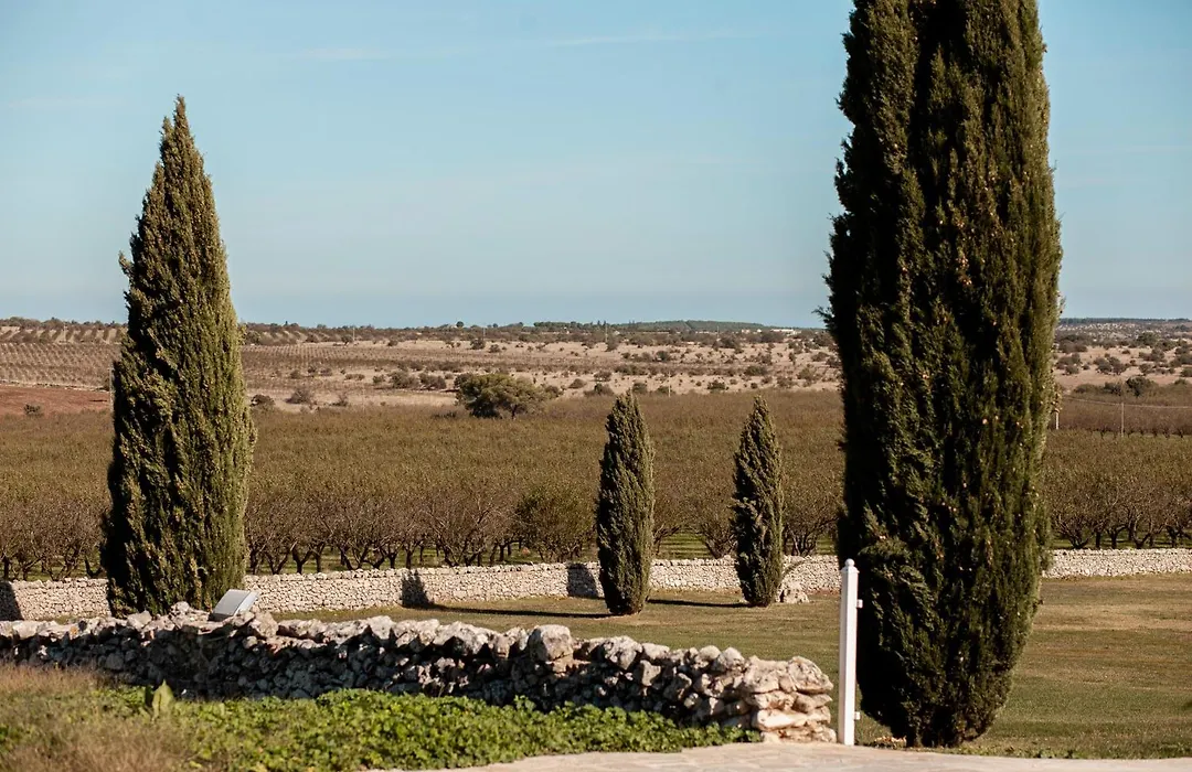 Masseria Torre Di Nebbia-1