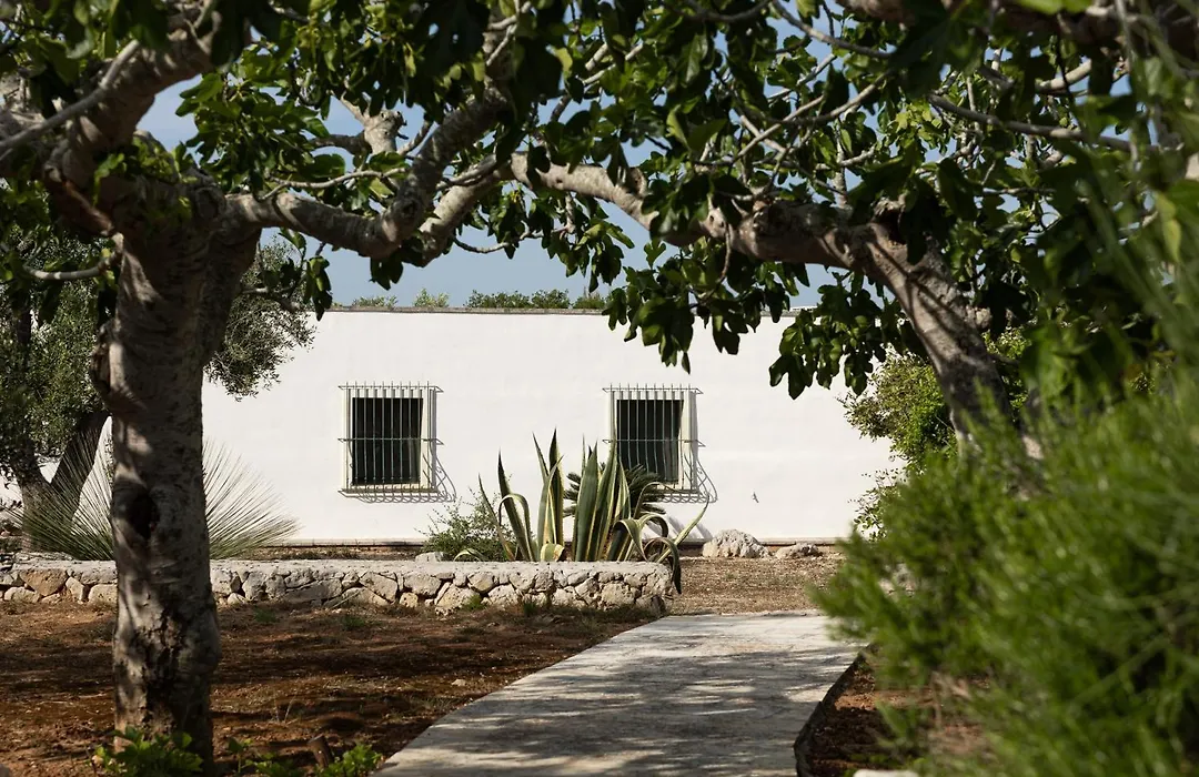 Masseria Tenuta Specolizzi-1