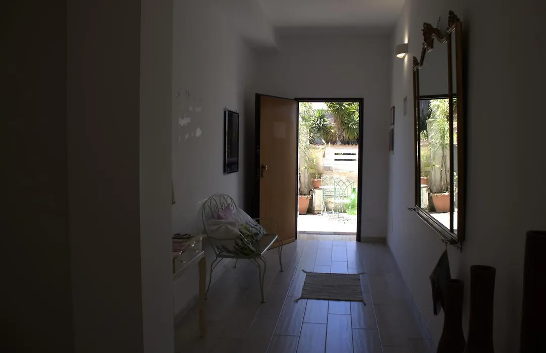 Musa B&B-1
