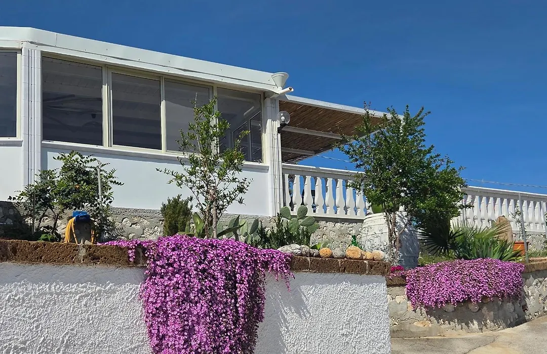 B&B Dimorangel-1