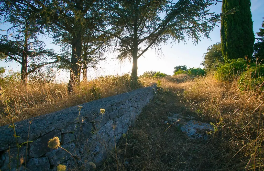 B&B In Fondo Alla Strada-1