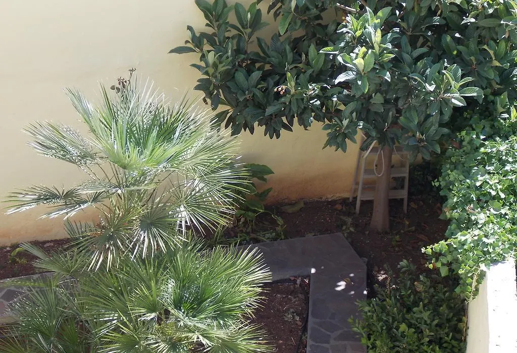 B&B Soli D'oro-1