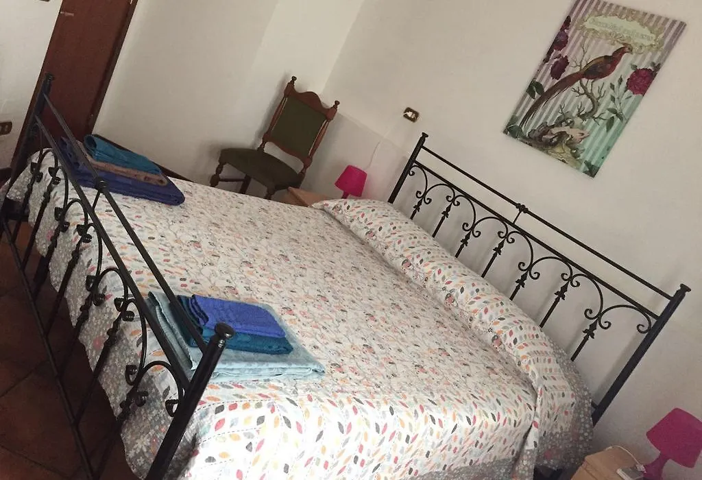 B&B Baldari-1