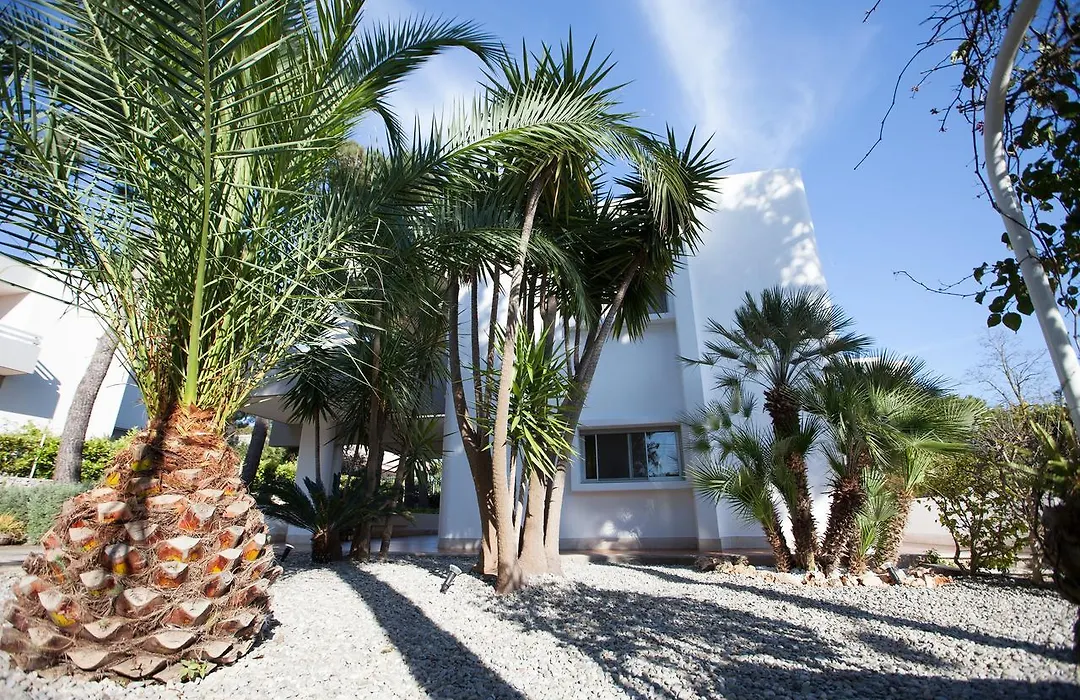 Phalanthos B&B-1