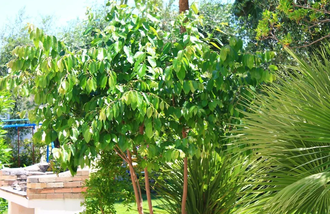 Green Garden Eco-Holiday-1