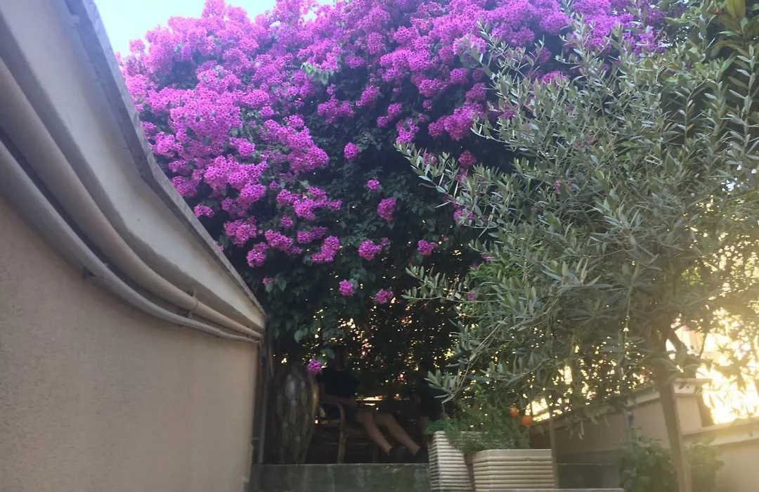 B&B La Bougainvillea-1
